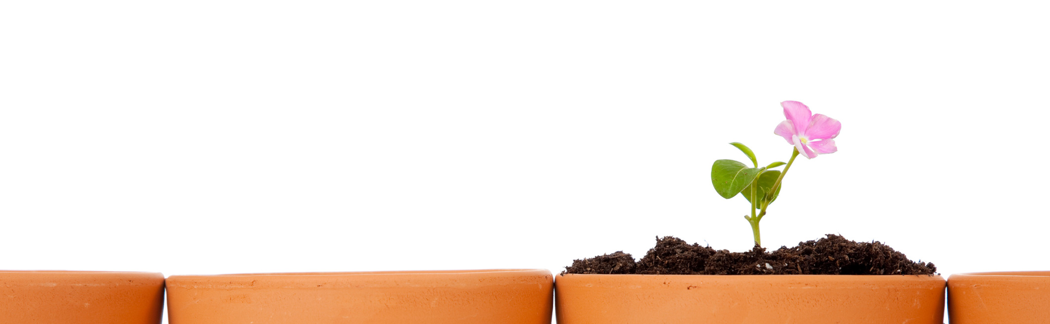 StiftungsKraft – Unsere Leistungen